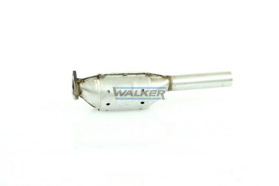 Catalizador WALKER 15737