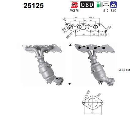 Catalizador AS 25125