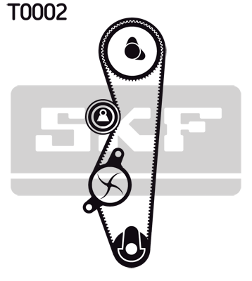 Kit distribucion SKF VKMA08201