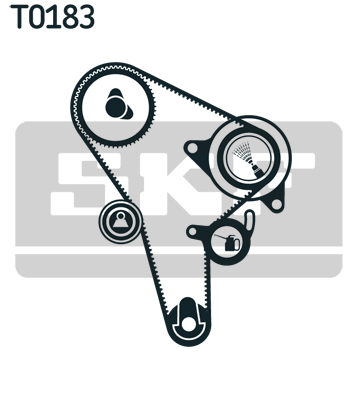 Kit distribucion SKF VKMA01015